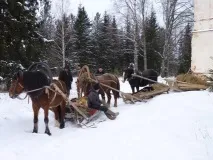 Рибний обоз - 2 - Новини рідного краю рибний