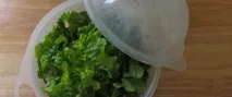 латук