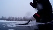 Снасть гірлянда метрів