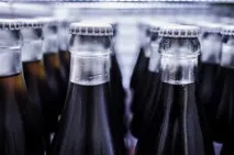 Смертельна гонка у світі гонка