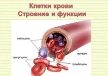 ШОЕ 28 у жінки та у чоловіків - що це означає чоловіків