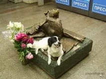 вірність