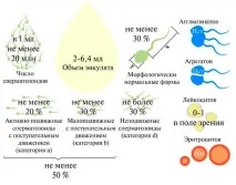 Скільки коштує спермограма коштує