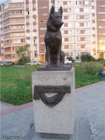 вірність