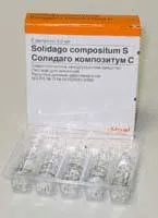 Солідаго композитум (Solidago compositum S) солідаго