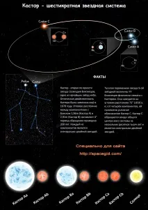 близнюки