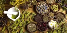 Засіб від псоріазу на тілі - гормональні та негормональні креми, мазі, таблетки та народні засіб