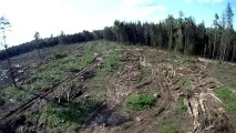 Статистика Тверьстату Екологічний стан у Тверській області погіршується - Тверь24 - новини в стан