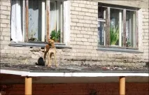 Сварка довела двох мешканок Качканара до передачі «Нехай кажуть» сварка
