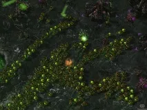 StarCraft 2 Heart of the Swarm heart