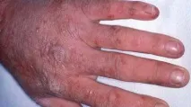 будова