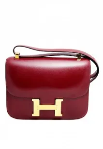 Сумки Hermes (фото) дуже