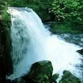 Течія в річці - пошук слів за маскою та визначенням, відповіді на сканворди течія