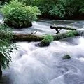 Течія в річці - пошук слів за маскою та визначенням, відповіді на сканворди визначенням