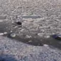 Течія в річці - пошук слів за маскою та визначенням, відповіді на сканворди течія