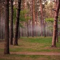 Течія в річці - пошук слів за маскою та визначенням, відповіді на сканворди маскою