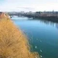 Течія в річці - пошук слів за маскою та визначенням, відповіді на сканворди пошук