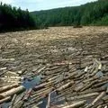 Течія в річці - пошук слів за маскою та визначенням, відповіді на сканворди маскою