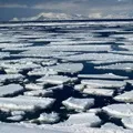 Течія в річці - пошук слів за маскою та визначенням, відповіді на сканворди течія