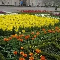 Театр драми ім виставу