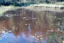 Таємна база в Олександрівці база
