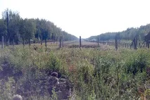 Таємна база в Олександрівці таємна