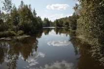 Таємна база в Олександрівці база