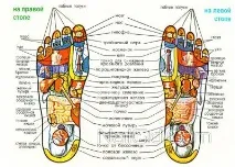 Точковий масаж стоп - техніка масажу та розташування точок (фото) техніка