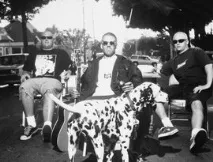 Топ-виконавці ska punk році