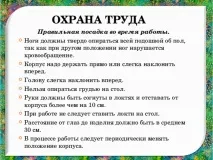 Творчий проект з технології - Букет із цукерок - технологія (дівчатка), презентації творчий