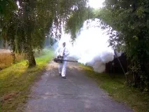 Знищення кліщів, акарицидна обробка, обробка від кліщів, винищення кліщів кліщів