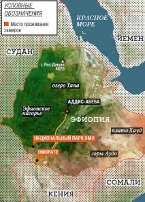 Удари долі за що чоловіки ефіопського племені б’ють своїх жінок, Публікації, Навколо Світу удари