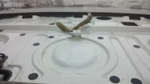 Установка штатного сабвуфера установка