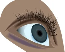 Уроки Adobe Illustrator Блискучі виразні очі - Програмні продукти adobe