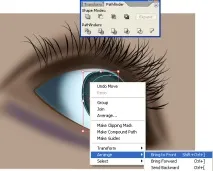 Уроки Adobe Illustrator Блискучі виразні очі - Програмні продукти illustrator