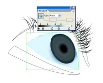 Уроки Adobe Illustrator Блискучі виразні очі - Програмні продукти illustrator