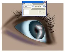 Уроки Adobe Illustrator Блискучі виразні очі - Програмні продукти illustrator