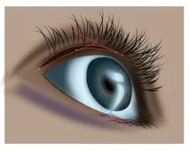 Уроки Adobe Illustrator Блискучі виразні очі - Програмні продукти уроки