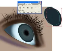 Уроки Adobe Illustrator Блискучі виразні очі - Програмні продукти adobe