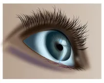Уроки Adobe Illustrator Блискучі виразні очі - Програмні продукти уроки