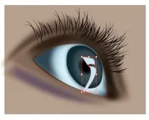 Уроки Adobe Illustrator Блискучі виразні очі - Програмні продукти adobe