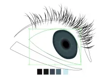 Уроки Adobe Illustrator Блискучі виразні очі - Програмні продукти illustrator