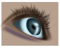Уроки Adobe Illustrator Блискучі виразні очі - Програмні продукти уроки