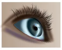 Уроки Adobe Illustrator Блискучі виразні очі - Програмні продукти уроки