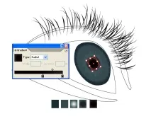 Уроки Adobe Illustrator Блискучі виразні очі - Програмні продукти illustrator
