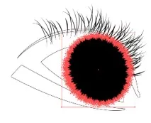 Уроки Adobe Illustrator Блискучі виразні очі - Програмні продукти illustrator