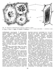 енциклопедия