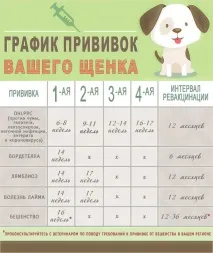 Вакцинація цуценят, собак вакцинація