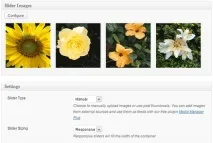Вибір кращого слайдера для WordPress, все про WordPress слайдера