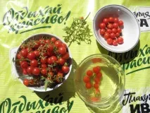 помідори